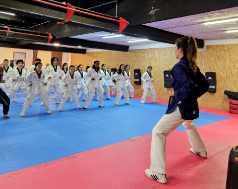 Koreaanse Cultureel Centrum Taekwondo Klas 2024 - 2e semester